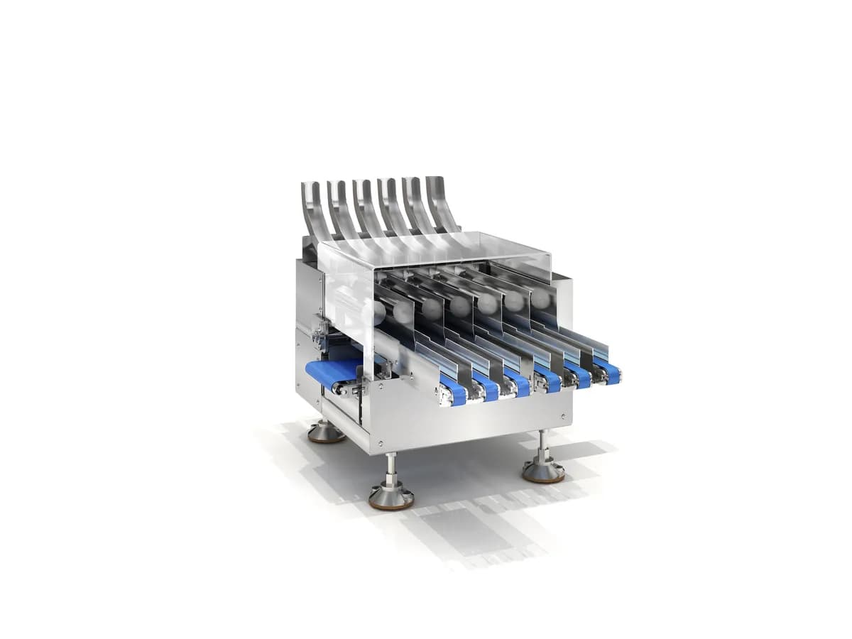 High-Precision Multi-Lane Checkweigher MQ-CWP6